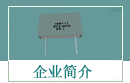 企業(yè)簡介